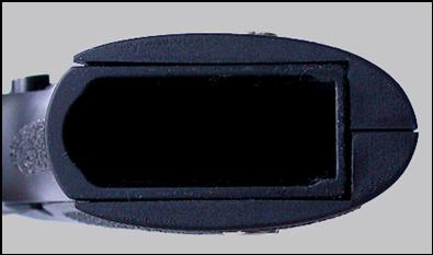 SIG-Sauer P220thinstocks 003.JPG